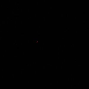 Meet your Posher, Tweety